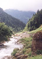 Uzung�l Deresi (1999)