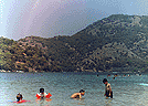 �l�deniz 8