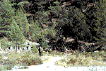OLYMPOS SITE (South)